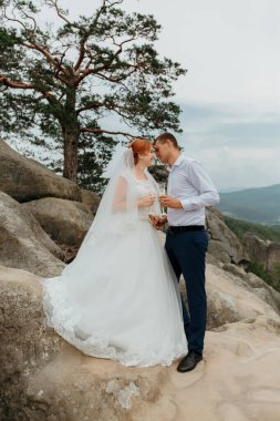 Bir gelin ve damat kayalık bir yamaçta elinde şarap kadehleriyle kameraya gülümsüyor.