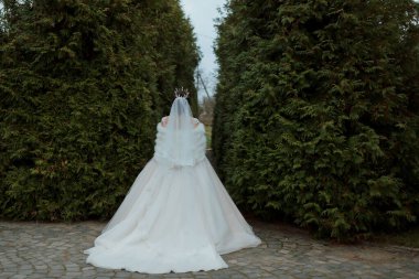 Beyaz elbiseli bir kadın çalılığın önünde duruyor. Elbise uzun ve beyaz ve kadın bir taç giyiyor. Resmin romantik ve zarif bir havası var. Kadın gelin gibi görünüyor.