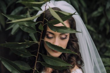 Bir kadın yapraklı yeşil bir bitkinin önünde duruyor, yüzü yapraklarla kısmen gizlenmiş. Beyaz bir duvak takıyor ve düğüne hazırlanıyor.