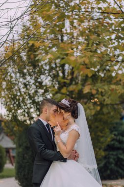 Bir gelin ve damat parkta sarılıyorlar. Gelin beyaz bir elbise giyiyor ve damat bir takım elbise giyiyor. Sahne mutlu ve romantik.