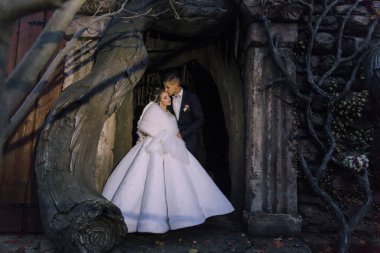 Bir gelin ve damat taştan bir kemerin önünde duruyorlar. Gelin kürk manto giyiyor ve damat takım elbise giyiyor. Sahne romantik ve samimi.