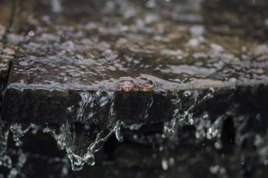 Bir çiftin alyansları ıslak bir kayanın üzerinde duruyor. Su kayaların üzerinden akıyor, barışçıl ve romantik bir atmosfer yaratıyor.