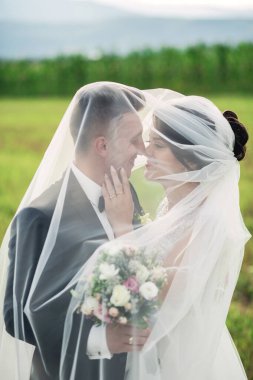 Gelin ve damat bir tarlada, gelinin duvağı damadın yüzünü örtüyor.