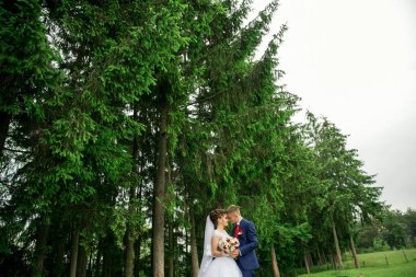 Bir gelin ve damat ağaçlarla çevrili bir ormanda duruyorlar. Gelin beyaz bir elbise giyiyor ve damat mavi bir takım elbise giyiyor. El ele tutuşup birbirlerinin gözlerine bakıyorlar.