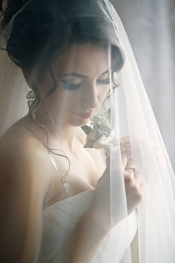 Gelinlik giymiş bir kadın peçesinin arkasında bir çiçek tutuyor. Zarafet ve romantizm kavramı, gelin güzel beyaz bir elbise giymiş ve bir duvak ve çiçekle çevrili.