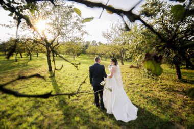 Bir gelin ve damat ağaçların arasında yürüyor. Gelin beyaz bir elbise giyiyor ve damat bir takım elbise giyiyor. Güneş parıldıyor, sıcak ve romantik bir atmosfer yaratıyor.