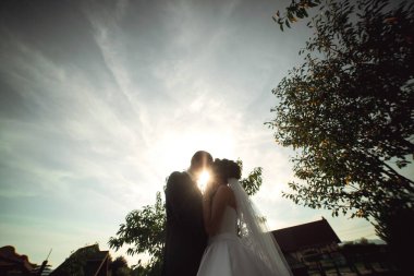 Gelin ve damat ağacın önünde öpüşürler. Gökyüzü bulutlu ve güneş parlıyor