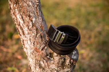 Gümüş tokalı siyah bir kuşak bir ağaç gövdesinde duruyor. Kemer deriden yapılmıştır ve gümüş bir tokası vardır.