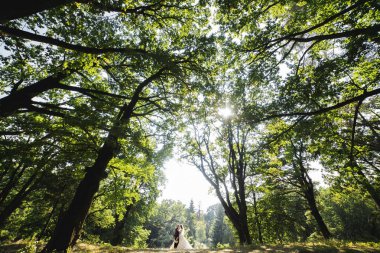 Arka planda ağaçlar olan bir çift ormanda duruyor. Güneş ağaçların arasından parlıyor, sıcak ve romantik bir atmosfer yaratıyor.