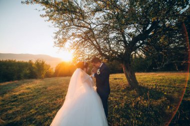 Bir gelin ve damat bir ağacın altında duruyorlar, üzerlerinde güneş parlıyor. Sahne romantik ve mutlu.