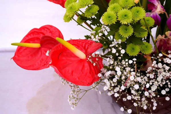 Vacker Bukett Blommor — Stockfoto
