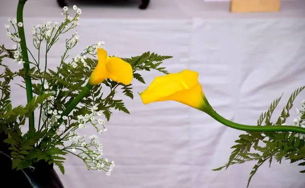 Flores Amarelas Vaso Fundo Branco — Fotografia de Stock