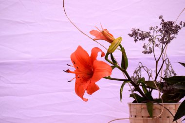 Renkli arkaplanda güzel çiçekler