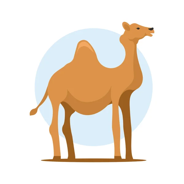 Icono Camello Ilustración Plana Del Icono Del Vector Camello Para — Vector de stock