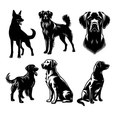 Beyaz arkaplanda izole edilmiş köpek siluetleri, Vektör illüstrasyonu.