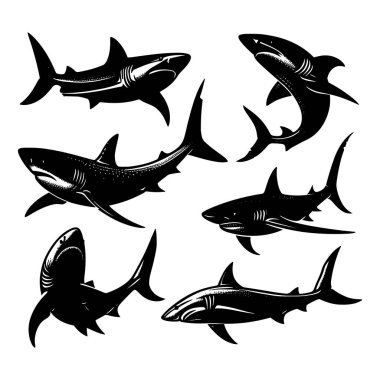 Beyaz arkaplanda izole edilmiş köpekbalığı siluetleri, Vektör illüstrasyonu.