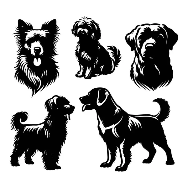 Beyaz arkaplanda izole edilmiş köpek siluetleri, Vektör illüstrasyonu.