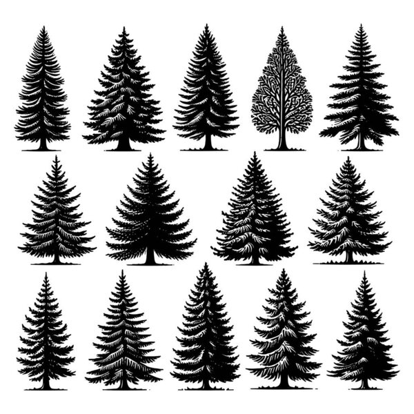 Set of tree silhouettes isolated on a white background, Vector illustration.