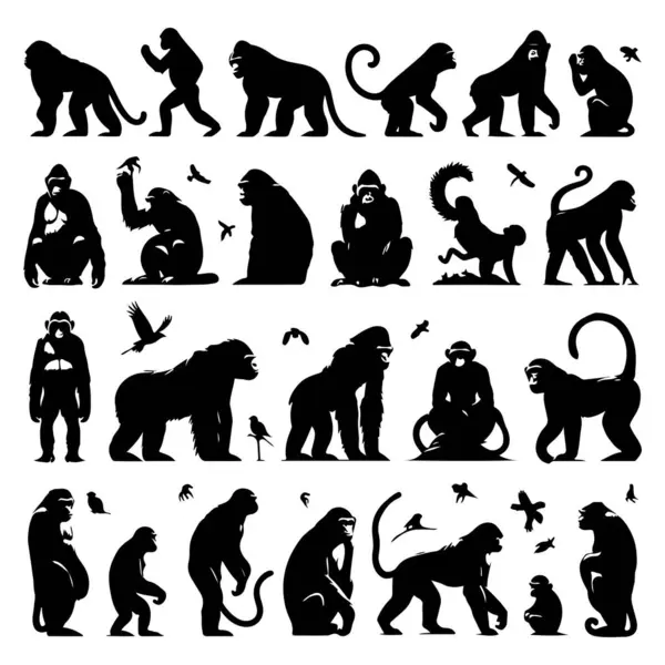 stock vector Silhouette set of ape animals. Vector isolated illustration