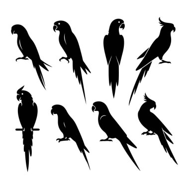 Set of parrot silhouette vector on white background clipart