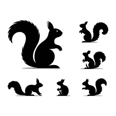 Set of squirrel silhouette on white background clipart