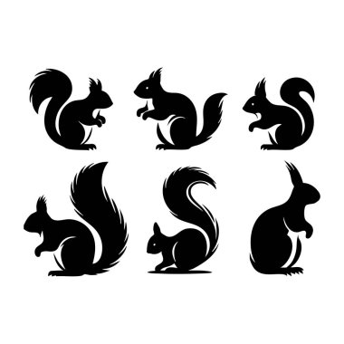 Set of squirrel silhouette on white background clipart