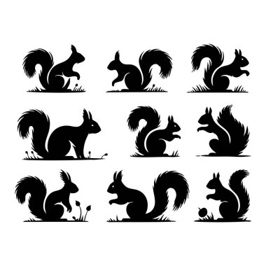 Set of squirrel silhouette on white background clipart