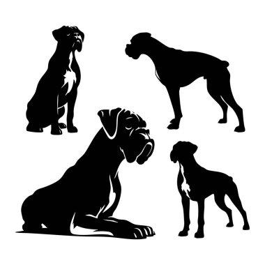 Beyaz arkaplanda boksör köpeği silueti