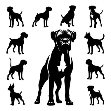 Beyaz arkaplanda boksör köpeği silueti