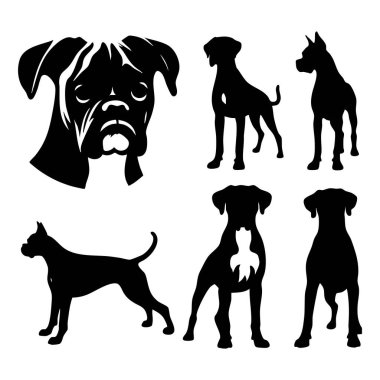 Beyaz arkaplanda boksör köpeği silueti