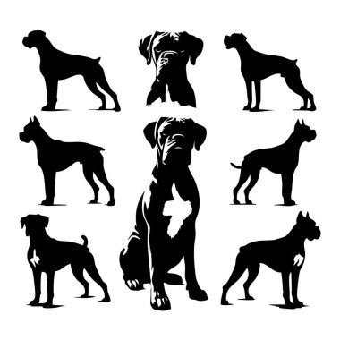 Beyaz arkaplanda boksör köpeği silueti
