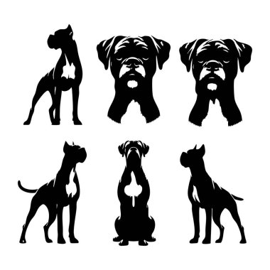 Beyaz arkaplanda boksör köpeği silueti