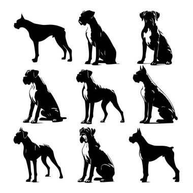 Beyaz arkaplanda boksör köpeği silueti