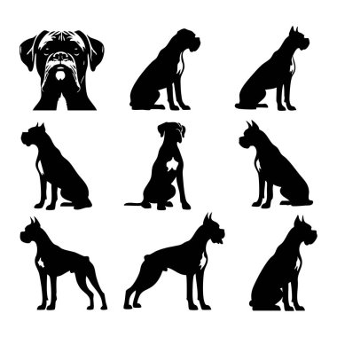 Beyaz arkaplanda boksör köpeği silueti
