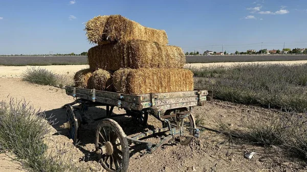 Tarlada Altın Buğday Samanı Kare Saman Yığını Çiftlikte Eski Bir — Stok fotoğraf