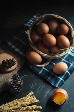 Koyu arkaplana taze tavuk yumurtası koyun. Bir tavuk yumurtası kırıldı..