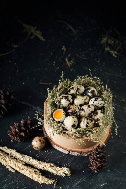 Tahta kasede çiğ bıldırcın yumurtası. koyu renk ve doku arka planında. Bir yumurta kırıldı. Pakette taze çiğ bıldırcın yumurtası..