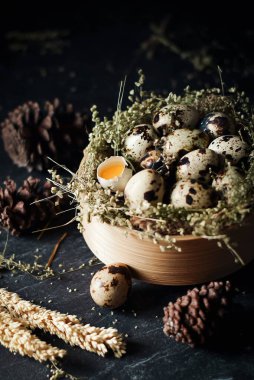Tahta kasede çiğ bıldırcın yumurtası. koyu renk ve doku arka planında. Bir yumurta kırıldı. Pakette taze çiğ bıldırcın yumurtası..