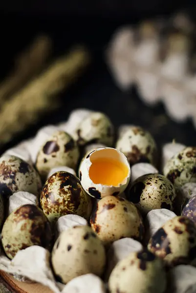 卵のトレイのボール紙に 生卵の卵を閉じた 暗くて質感のある背景 1個の卵が割れています 販売のためのパッケージの新鮮な生のウズラの卵 — ストック写真