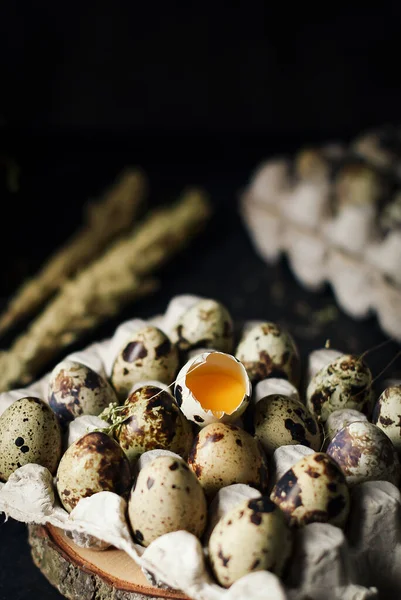 Zblízka Syrových Křepelčích Vajec Kartonových Vaničkách Tmavém Texturovém Pozadí Jedno — Stock fotografie