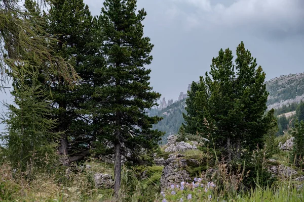 stock image View of dolomiti from passo Falzarego near Cortina d'Ampezzo