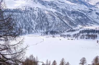 Canton Graubunden, İsviçre: Alp Grum tren istasyonunda (Bernina Express) kış mevsiminde manzara, arka planda İsviçre Alpleri