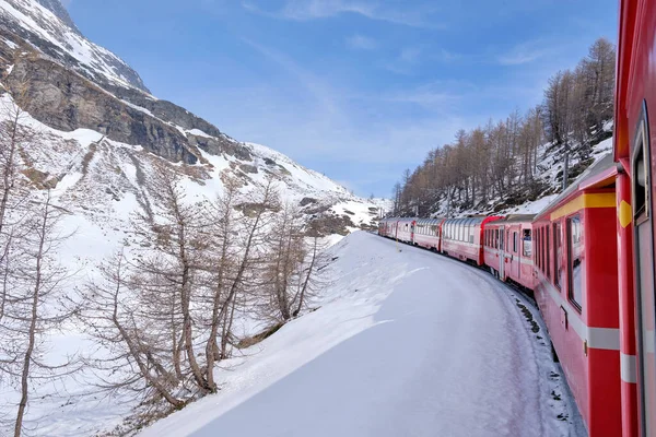 stock image The famous Swiss mountain train of Bernina Express crossed italian and swiss Alps in a blue sky