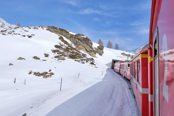 Διάσημο Ελβετικό Τρένο Βουνό Της Bernina Express Διέσχισε Ιταλικά Και — Φωτογραφία Αρχείου