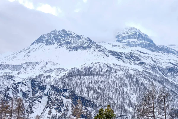 Famoso Trem Montanha Suíço Bernina Express Cruzou Alpes Italianos Suíços — Fotografia de Stock