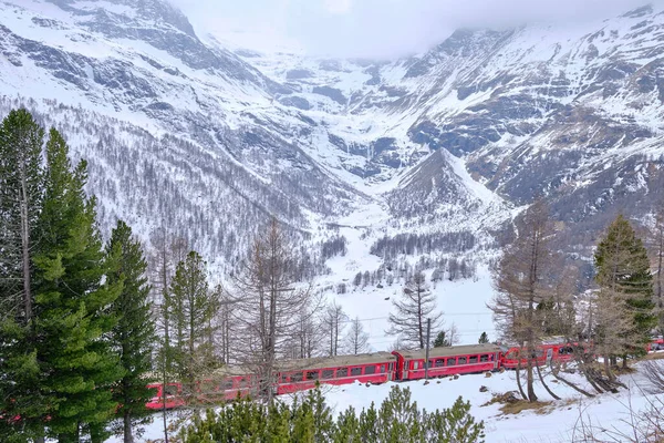 Famoso Treno Svizzero Montagna Del Bernina Express Attraversato Alpi Italiane — Foto Stock