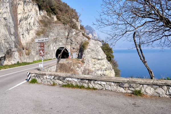 Gardone Riviera, İtalya: Gardone Riviera 'nın baharda Garda Gölü' ndeki manzarası. Gardone Riviera Kuzey İtalya 'da popüler bir tatil yeri..