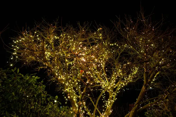 Diciembre 2020 Vista Exterior Del Árbol Navidad Noche —  Fotos de Stock