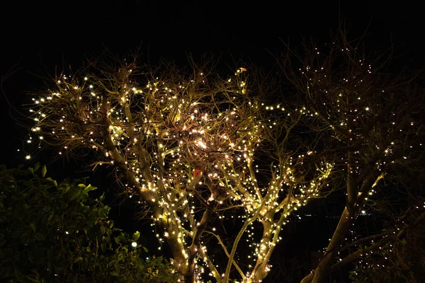 December 2020 Buitenaanzicht Van Kerstboom Nacht — Stockfoto