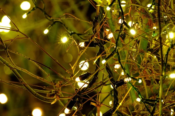 Dicembre 2020 Veduta Esterna Dell Albero Natale Nella Notte — Foto Stock